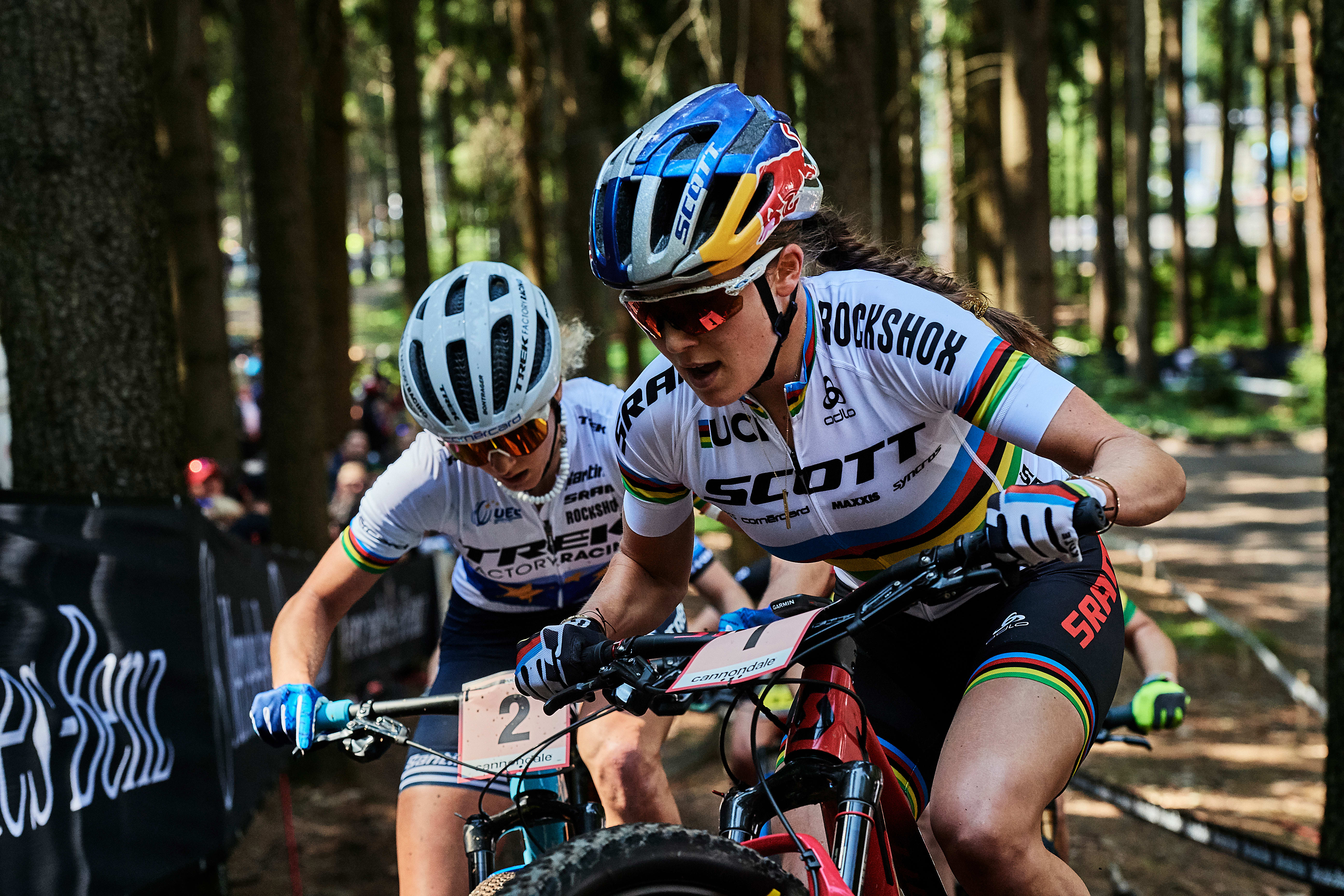 garmin mtb classic 2019