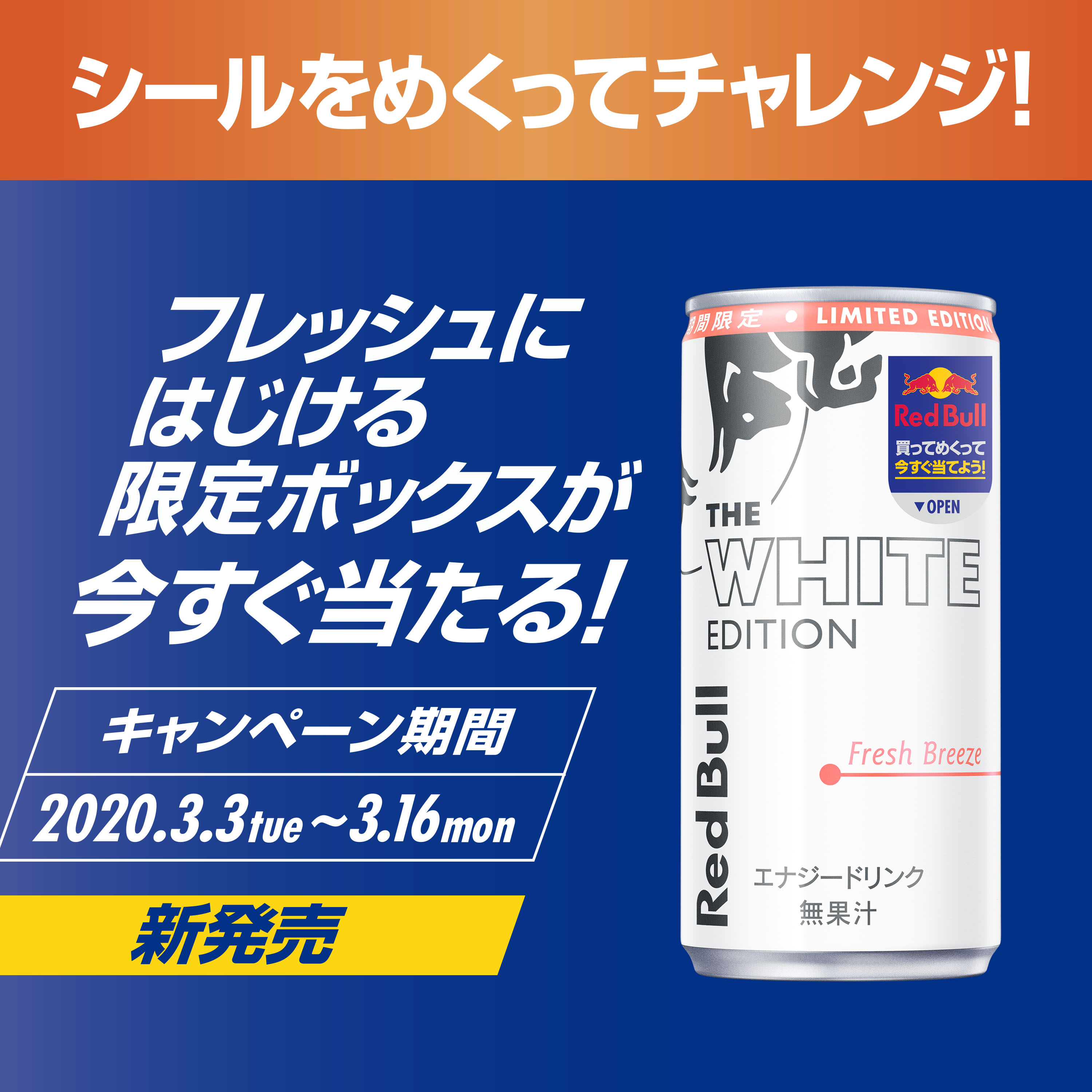 地域限定】レッドブル ホワイトエディション 185ml × 3ケース(72本