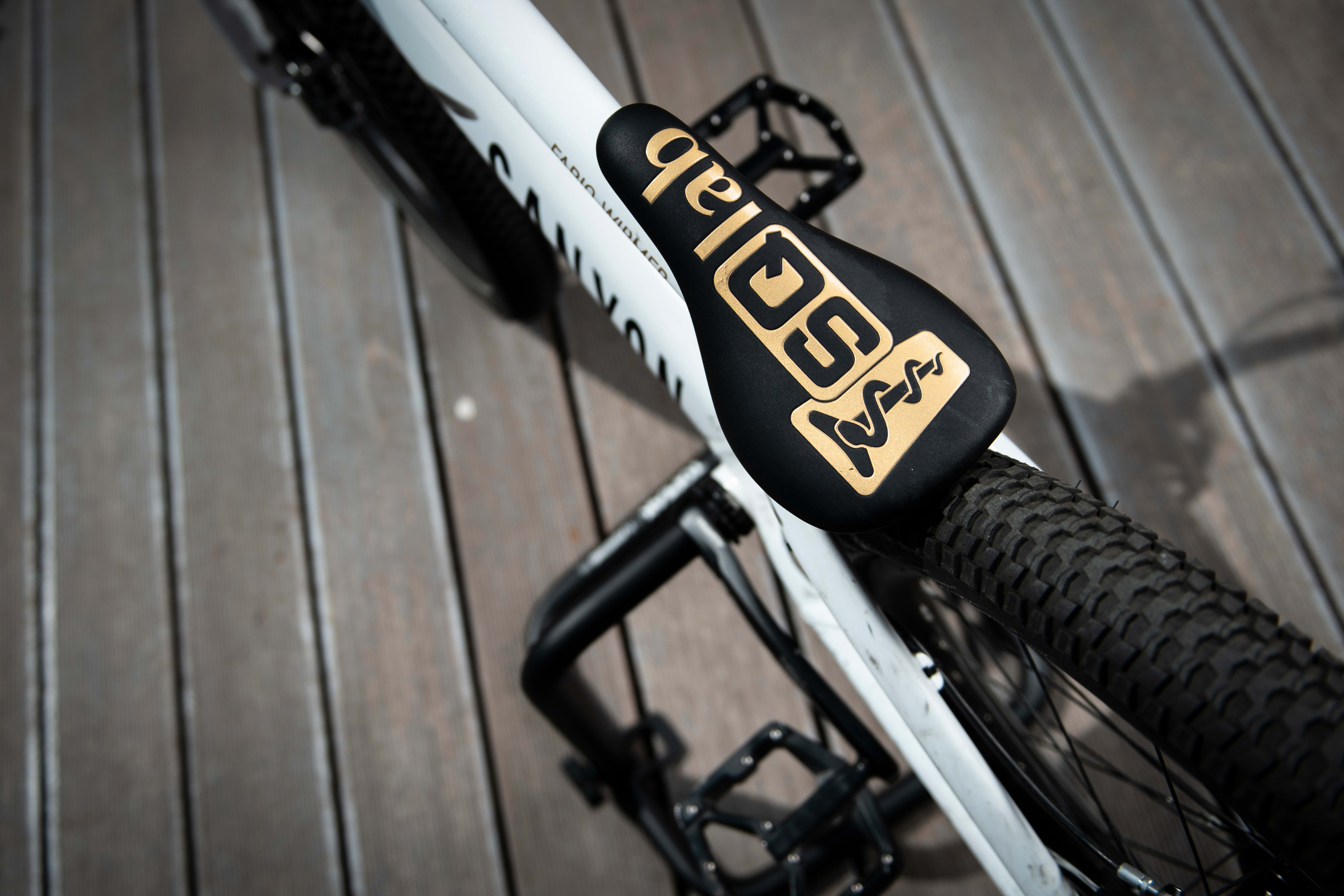 Fabio Wibmer Bike Check: Prototype Canyon Trial bike