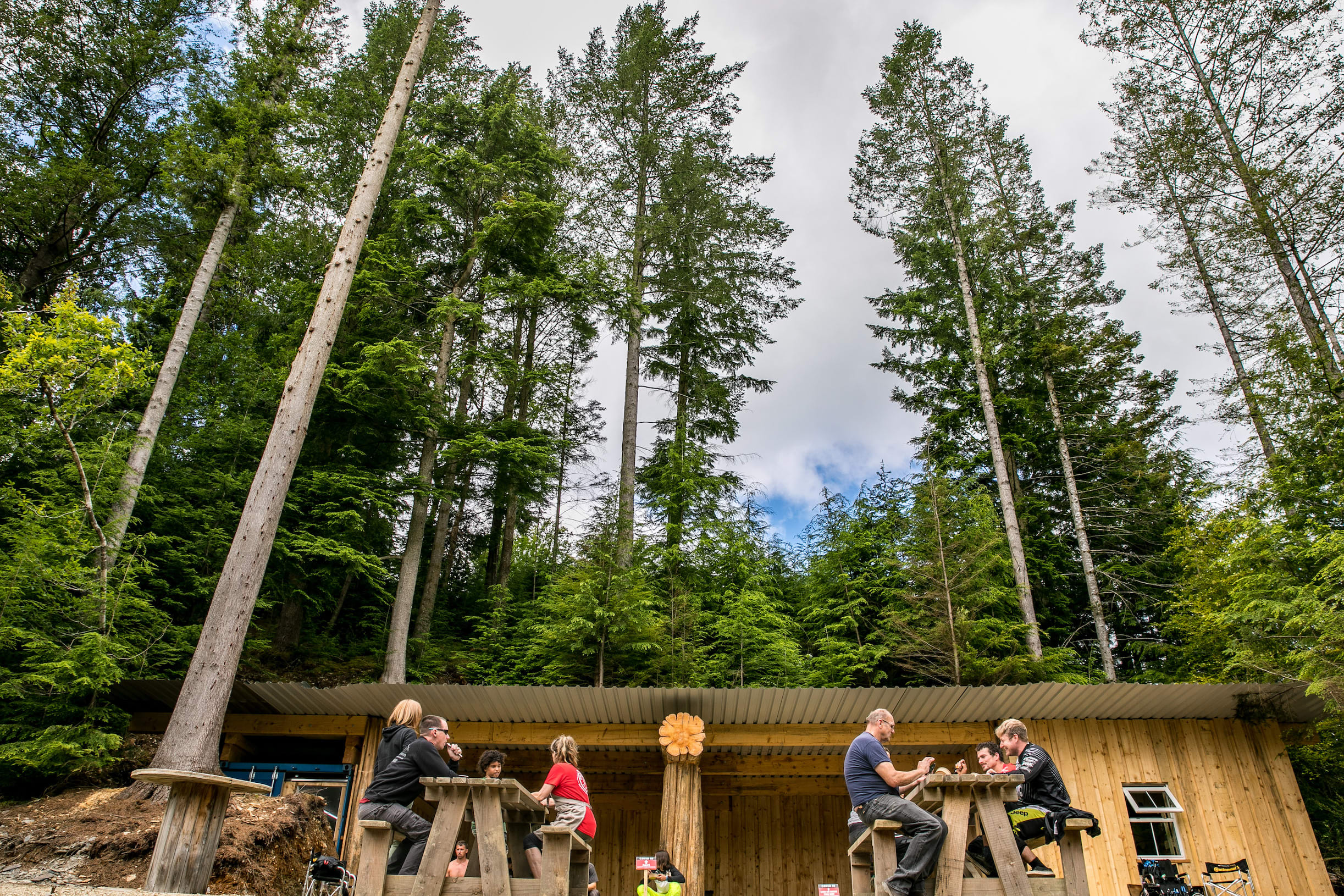 Dyfi bikepark clearance