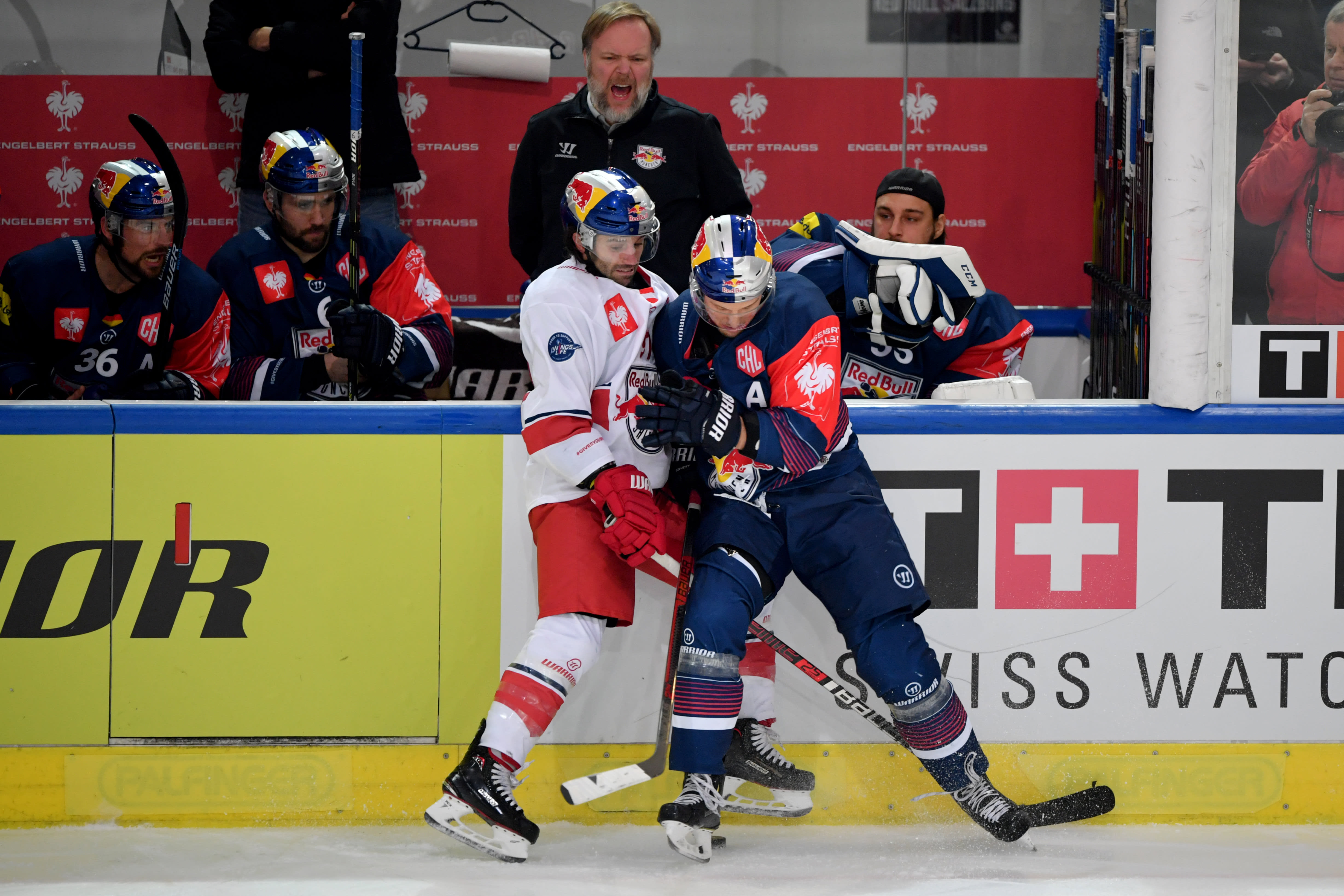 Doppeltes Prestige Duell Gegen Den Ehc Red Bull Munchen