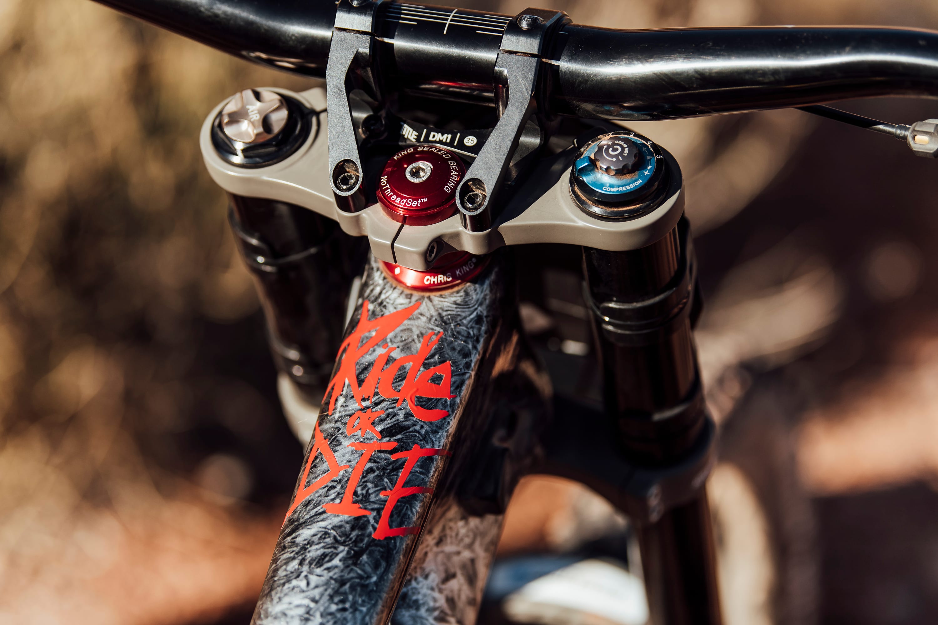 Red Bull Rampage 2021: Anatomy of the ridersu0027 bikes