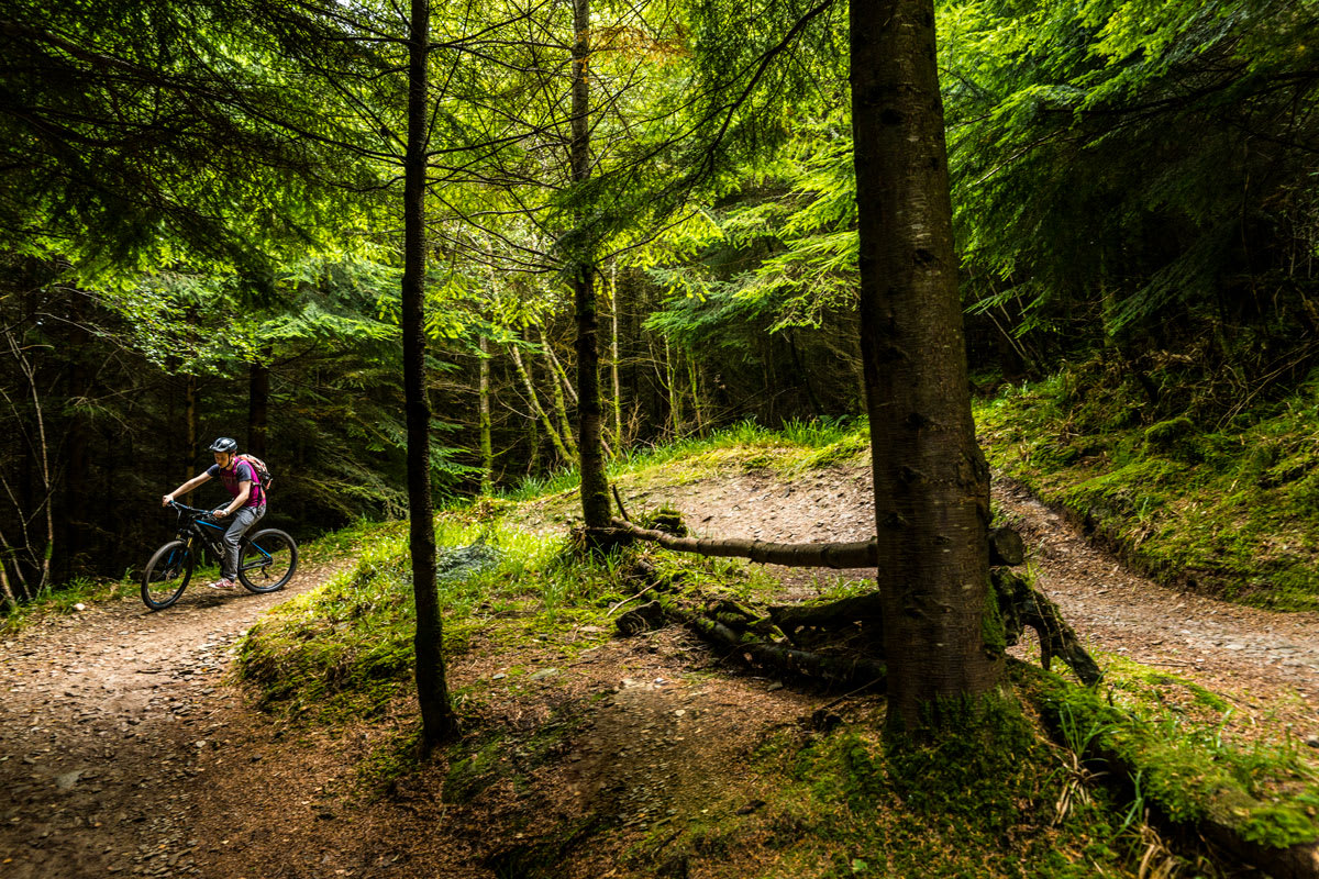 Mountain bike trail near me on sale