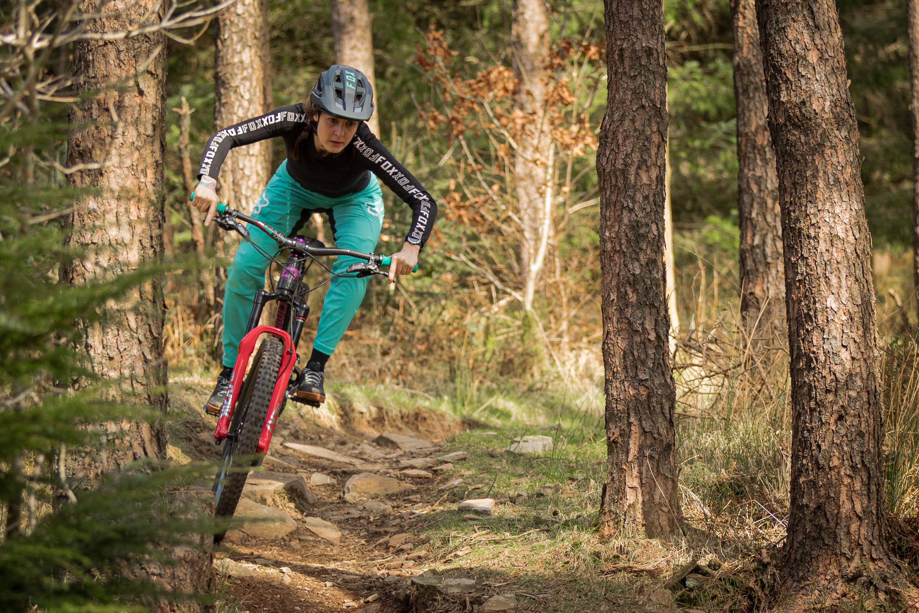 Afan forest sale bike park