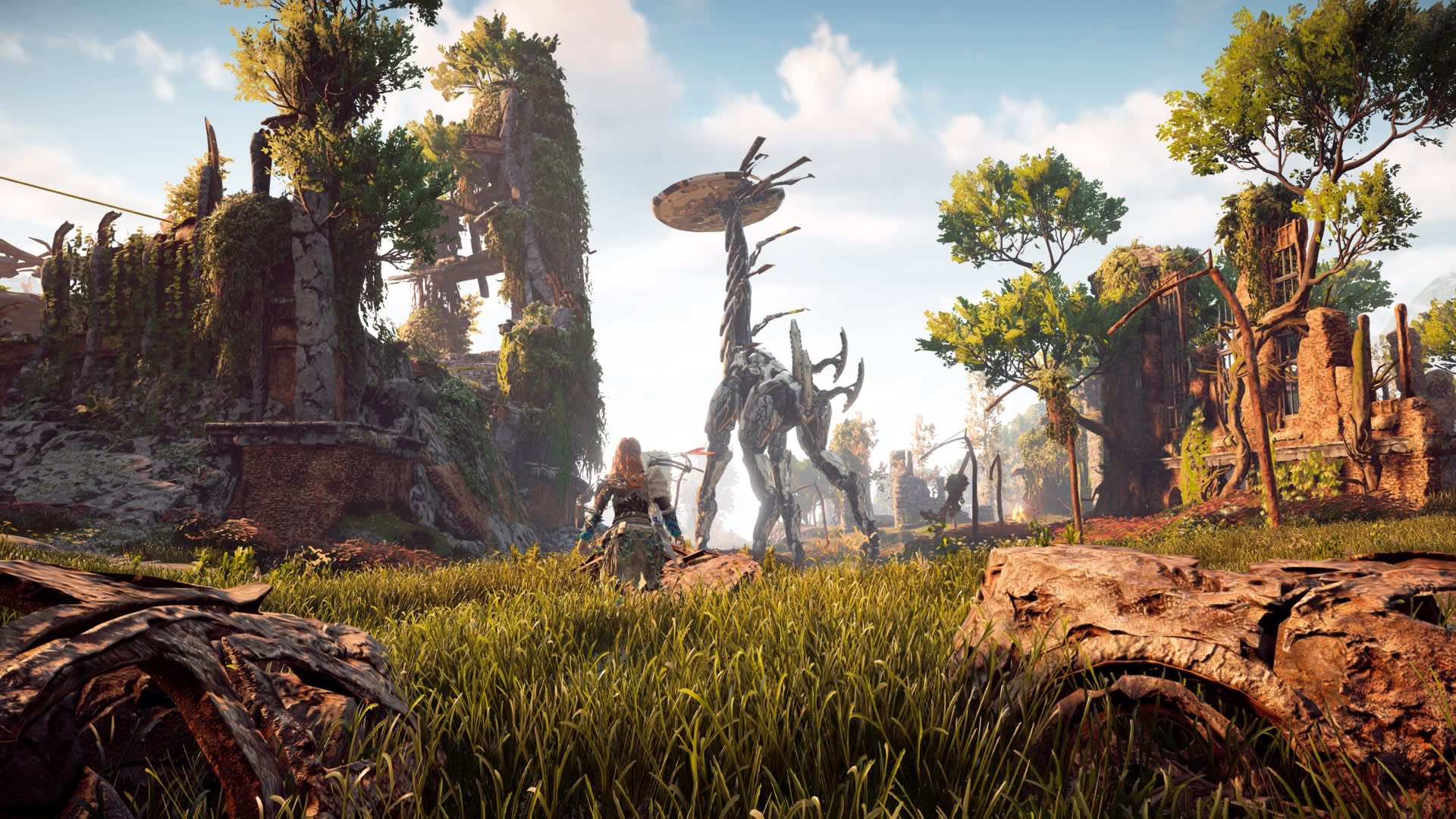 Horizon : Zero Dawn at the best price