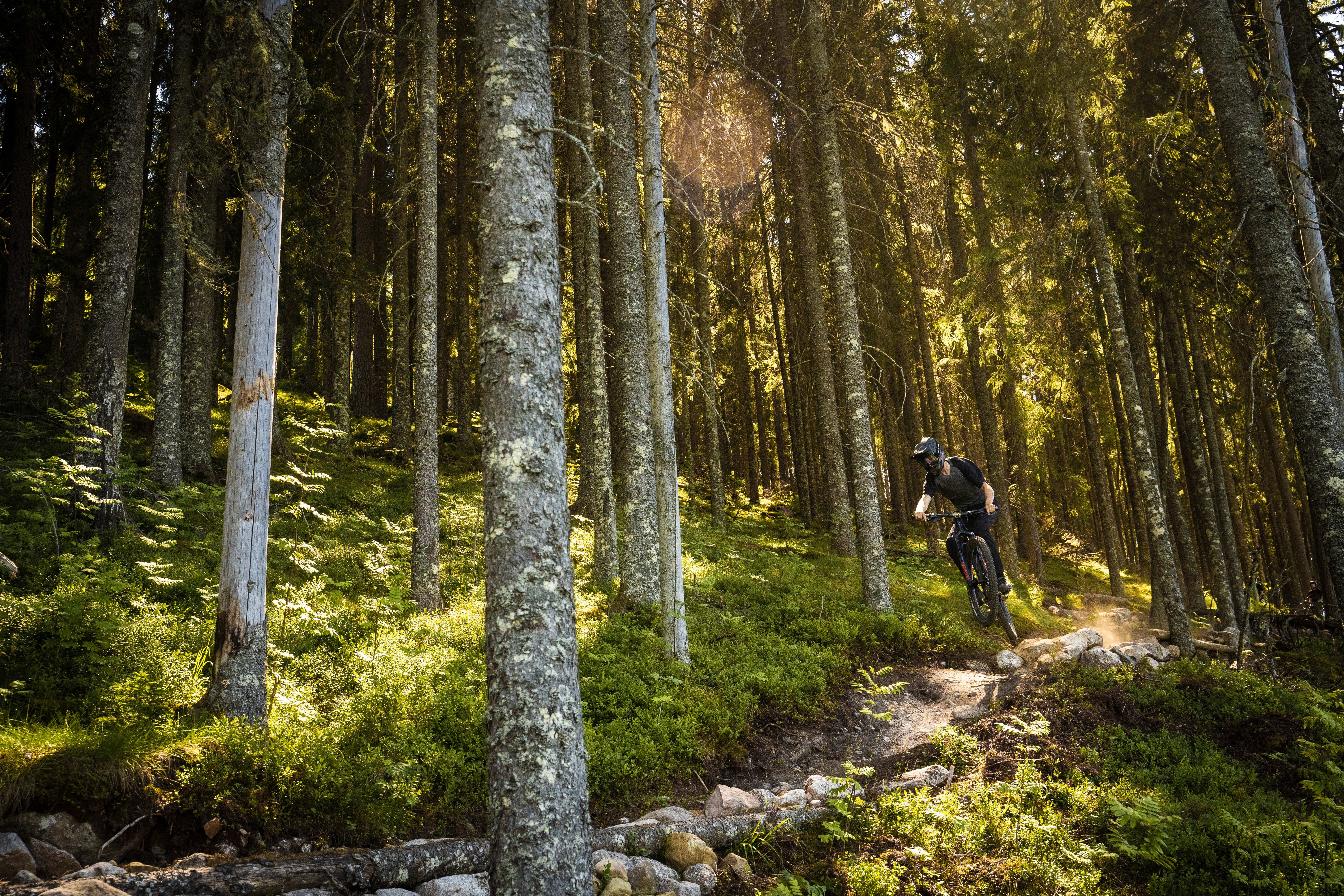 Local riders put Kungsberget Bike Park on the MTB map