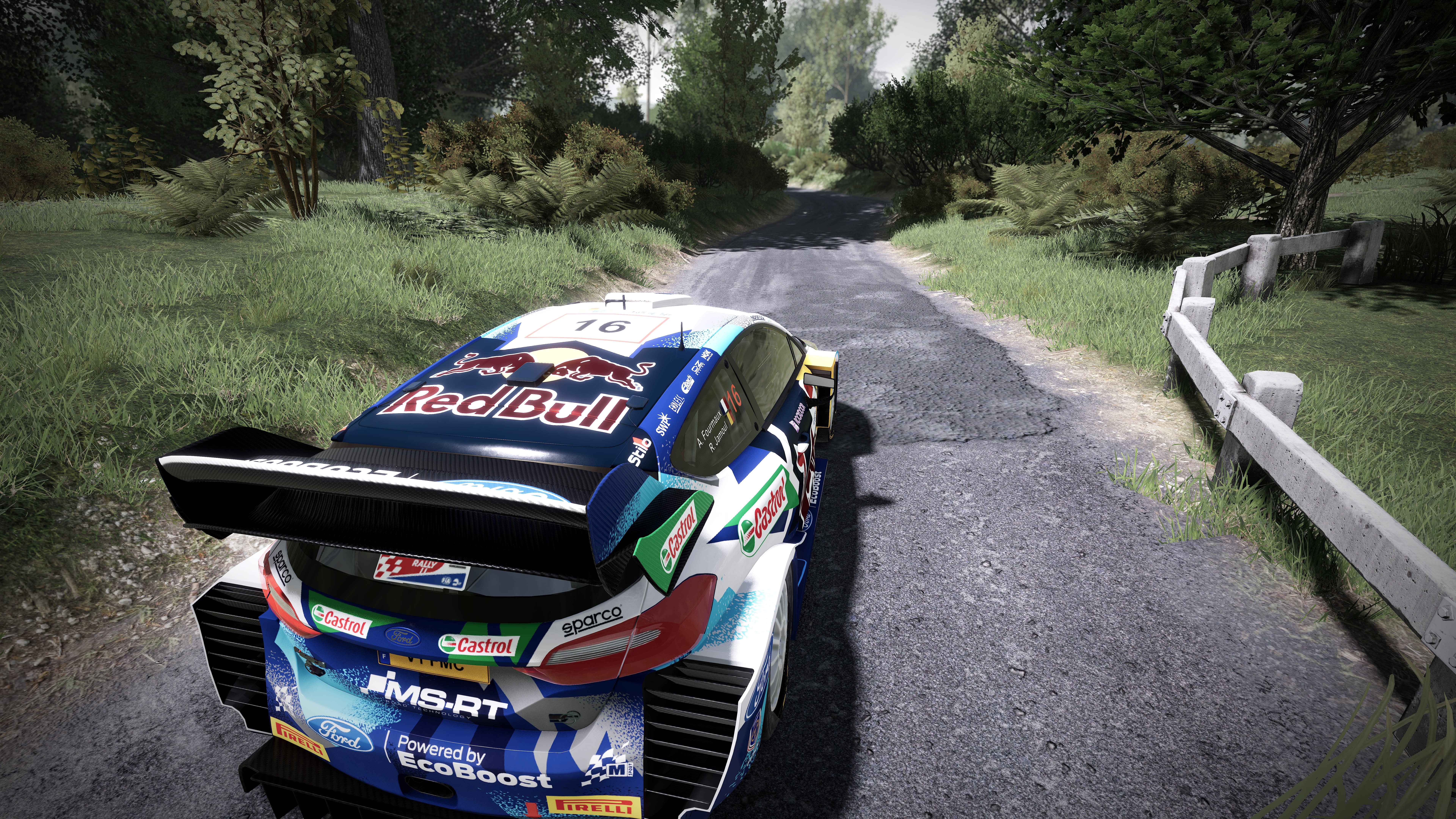 WRC 9 game director PS5 interview