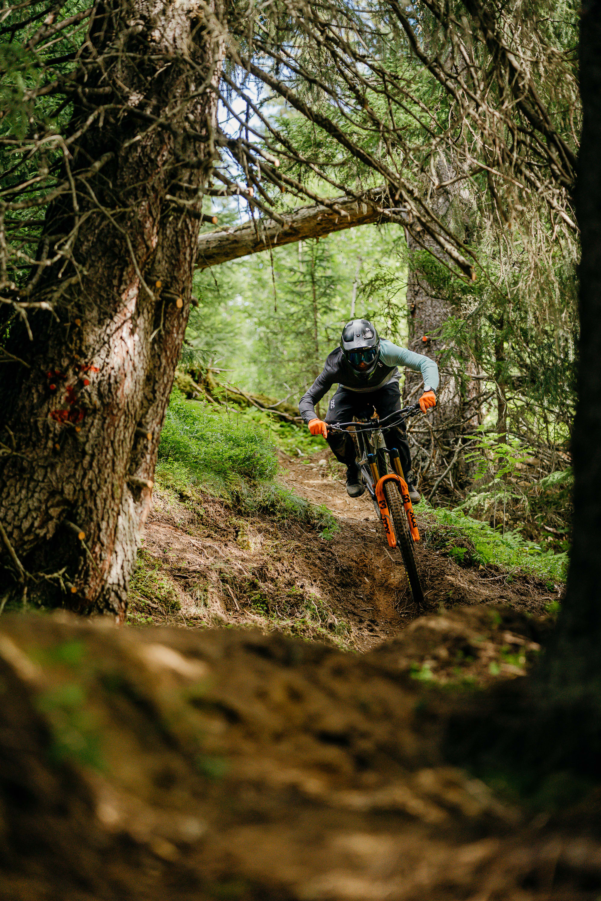 Mountain bike scene clearance