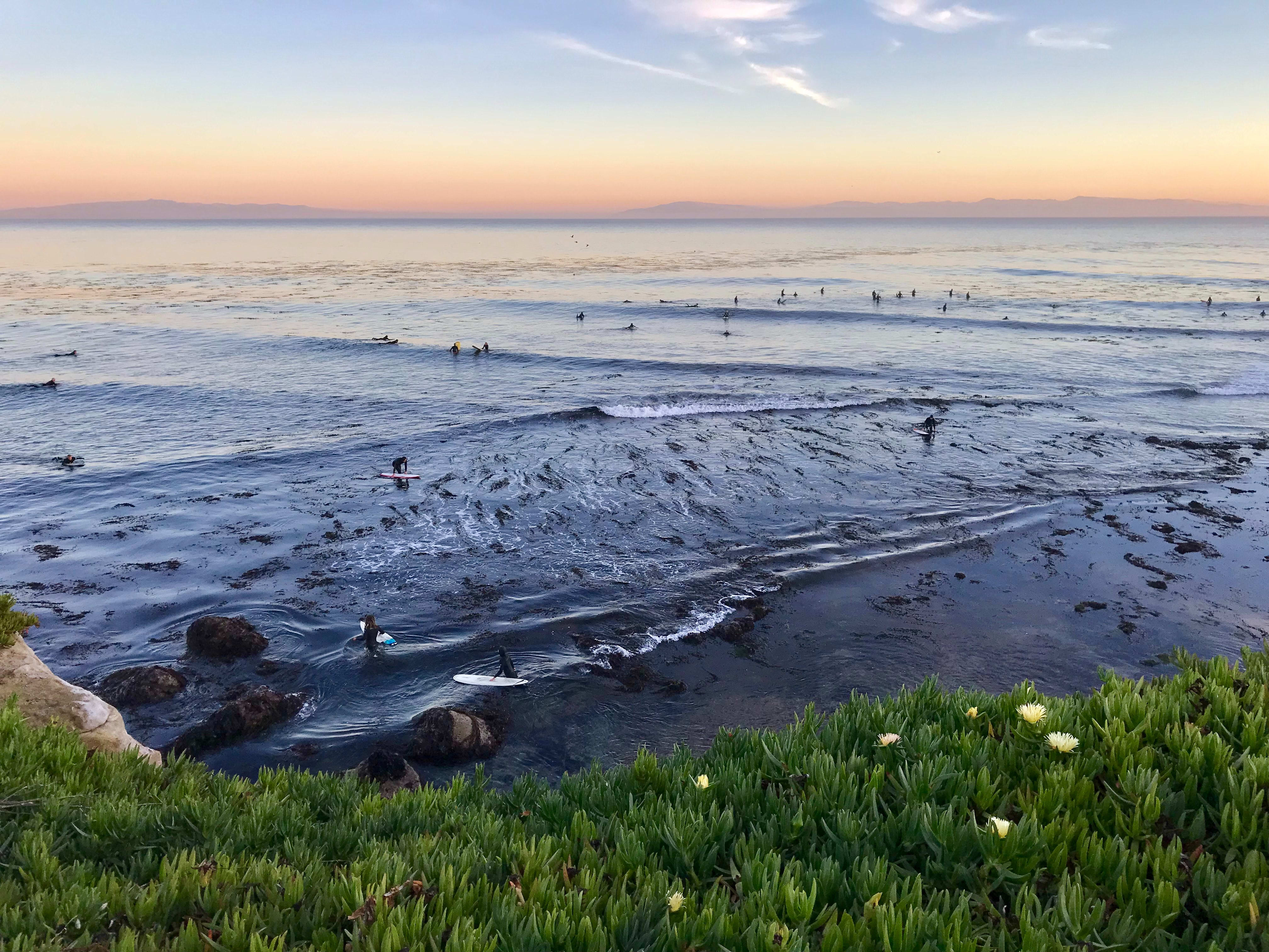 Top 10 Santa Cruz Surfing Spots to Check Out