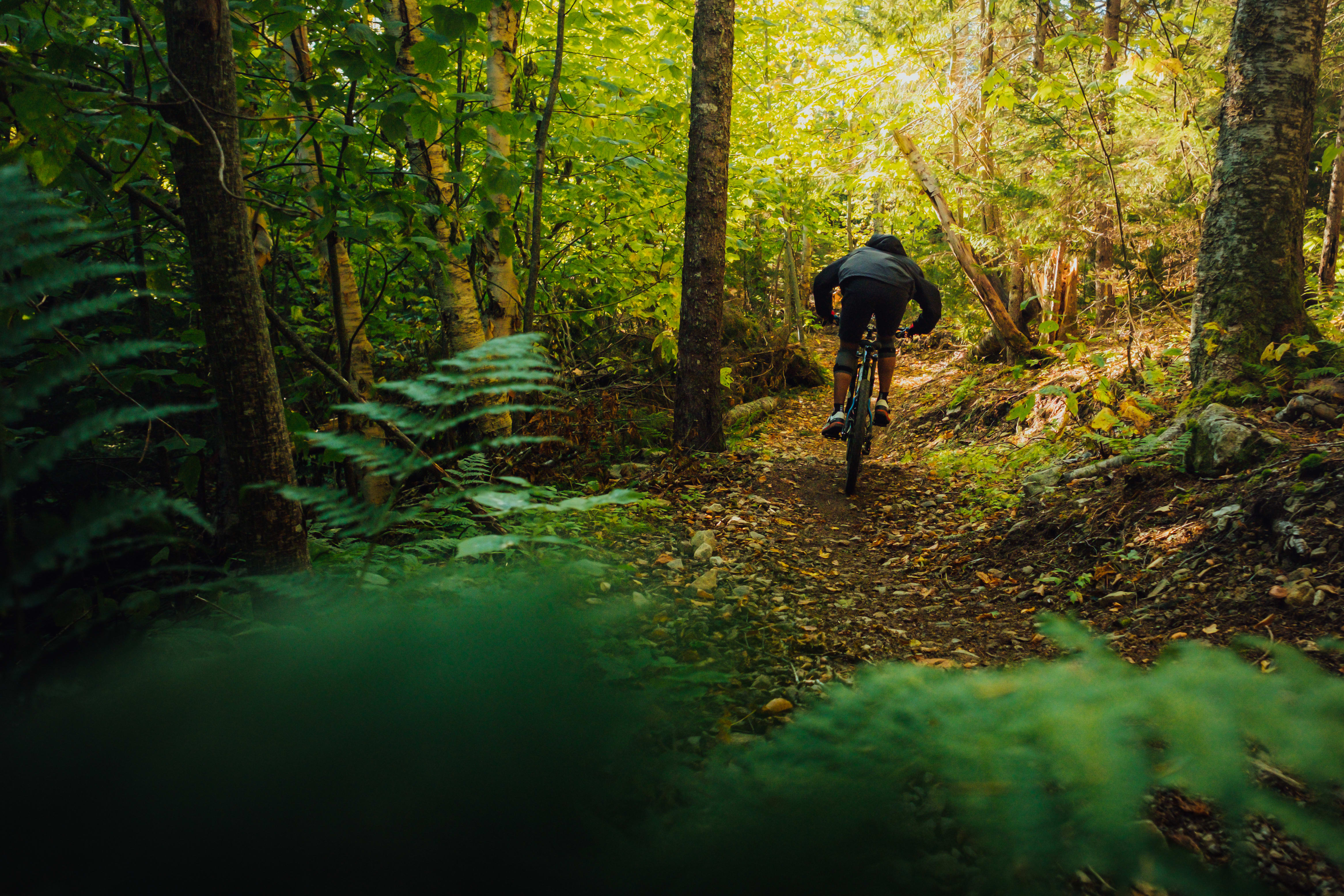 Wentworth Mountain Biking Trails in Wentworth Valley, Nova Scotia