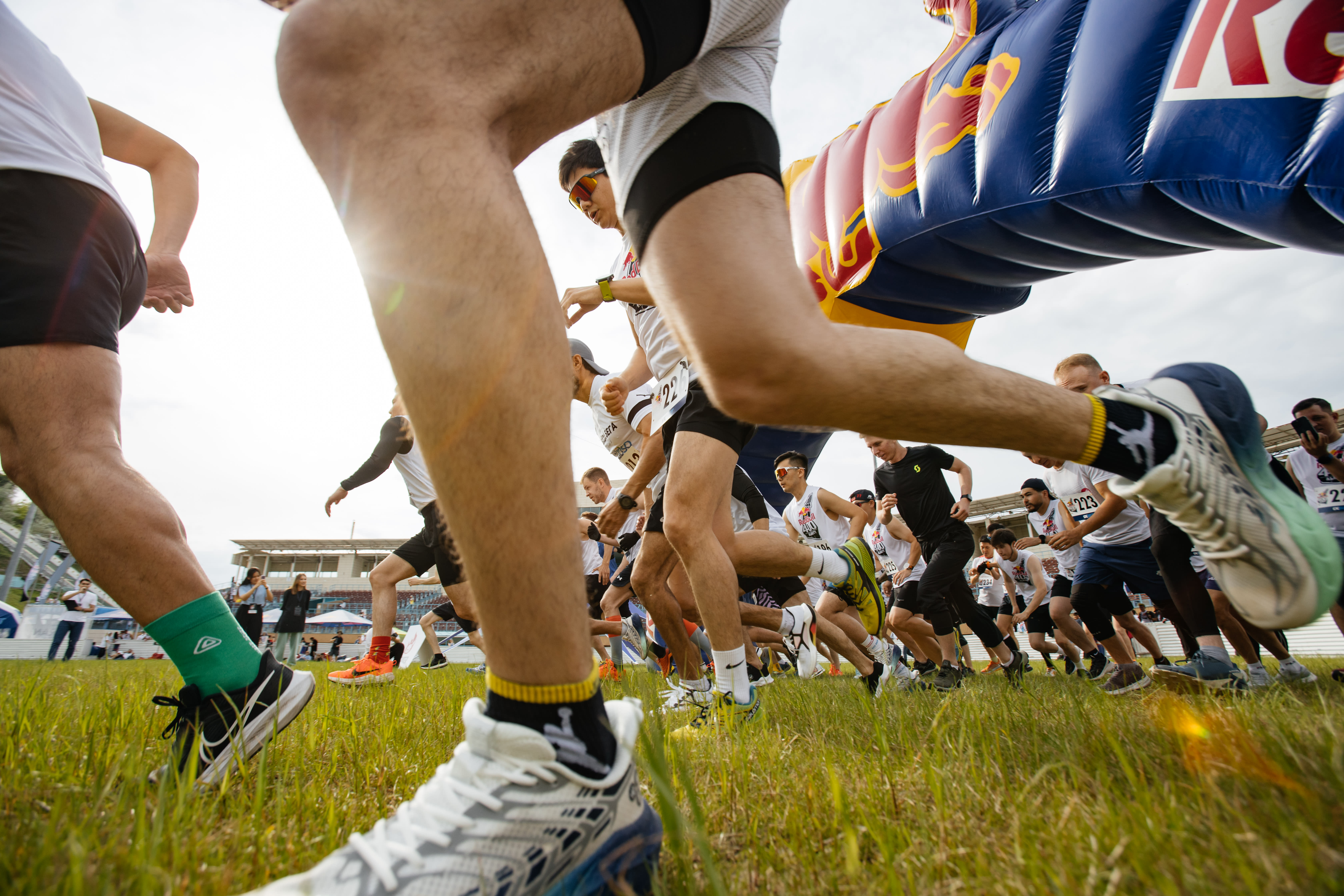 Female distance runners improve health - and speed - with better diet -  Scope