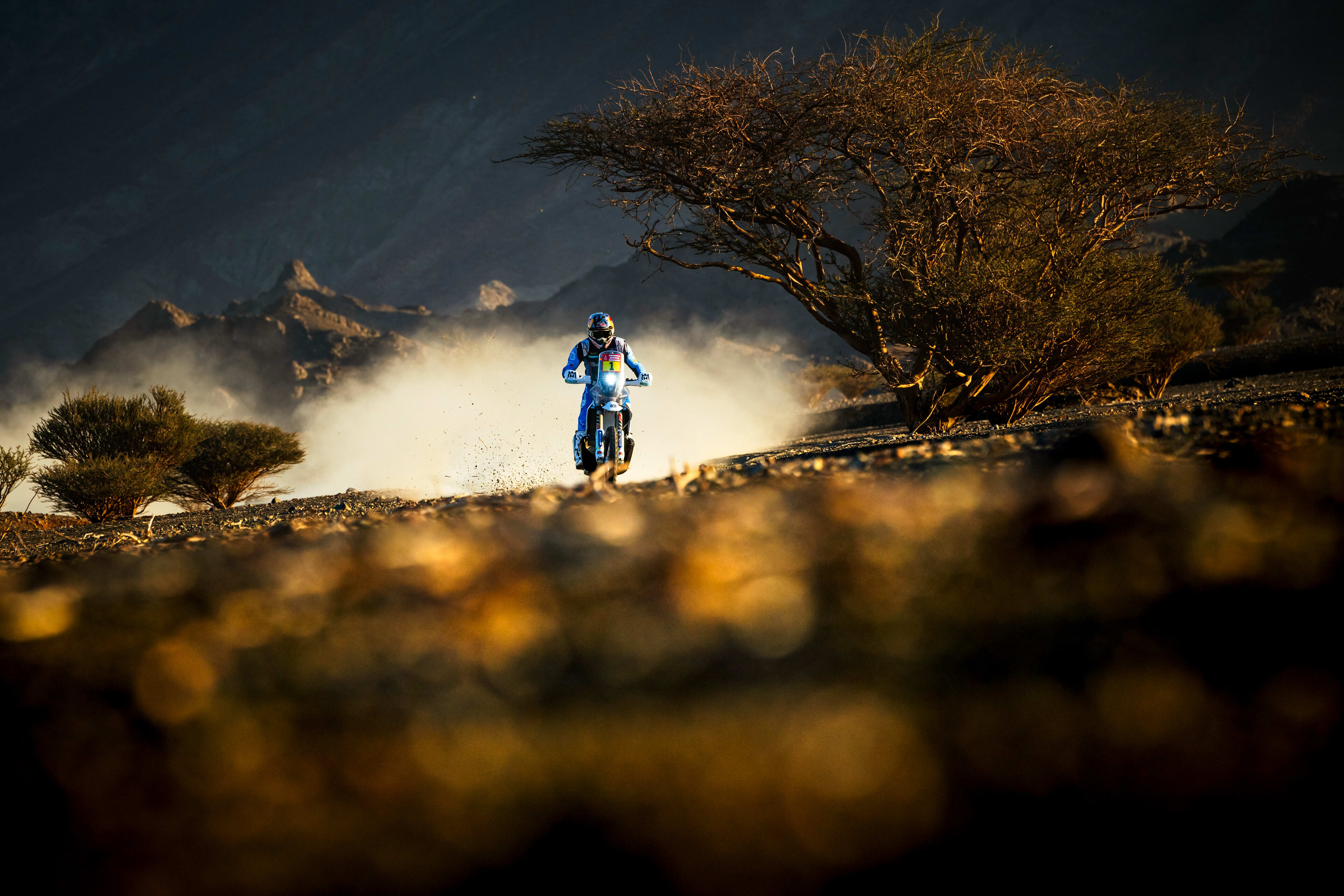 Dakar Rally 2024 highlights: Report, results and videos