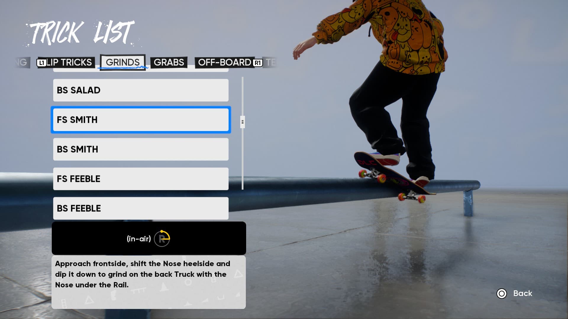skate. inceleme