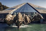 Red Bull corporate office building located near Salzburg with a glass front in the middle behind a man-made pond with sculptures