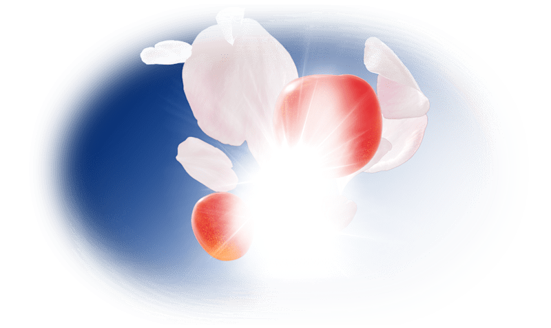 Background Image - Cherry Edition 2026