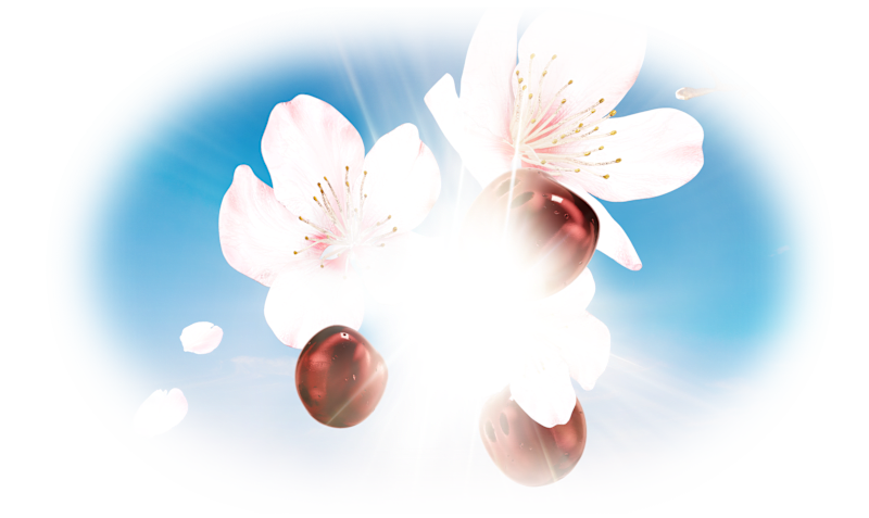 Spring Edition Woodruff Background